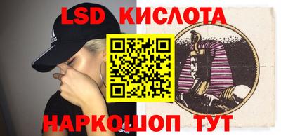 гидра Будённовск