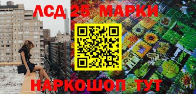 гидра Будённовск