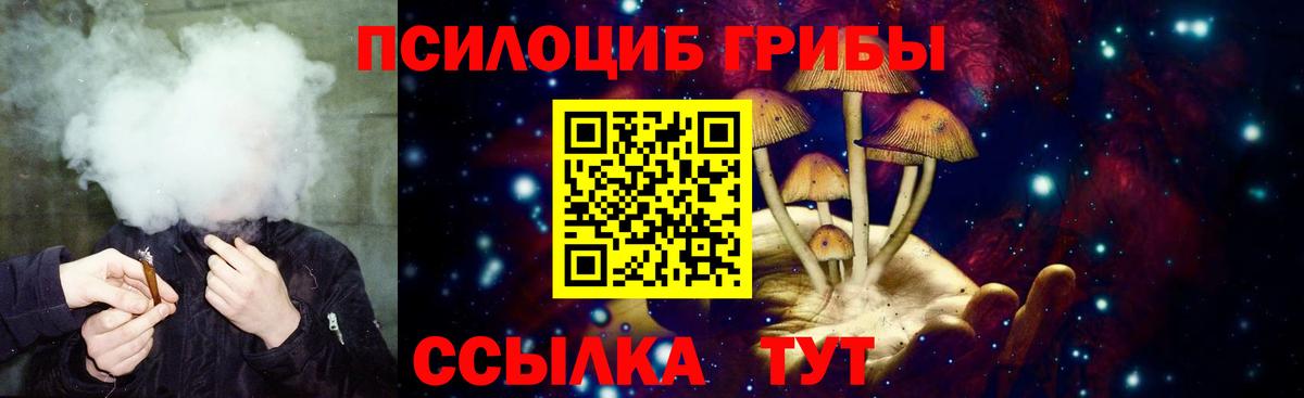 Майкоп  Галлюциногенные грибы Magic Shrooms  Вход с VPN  Псилоцибиновые грибы ЛСД 